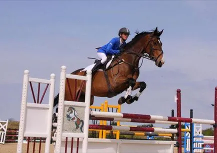 Jumping - egy tekintélyes és elegáns megjelenés a lovassport