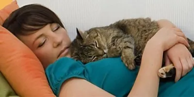 A macska alszik egy ember, egy fej jel
