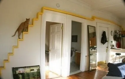 Cat ház arisztokrata macskák