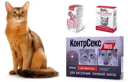 Cat séták hogyan nyugodt és segít alatt ivarzás