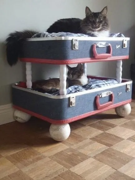 Cat ház arisztokrata macskák