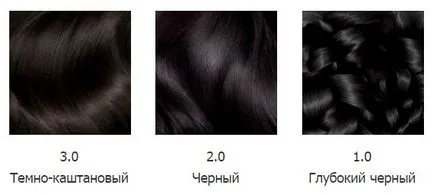Hajfesték Garnier (Garnier) - színpaletta (fotó) (Palette) Hajfesték Garnier (Garnier) - színpaletta (fotó)