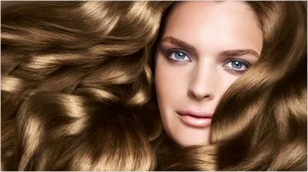 Mousse hajfesték Schwarzkopf tökéletes mousse paletta (mousse) Dye hajhab Schwarzkopf tökéletes mousse paletta