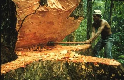 Mahogany Properties and Applications