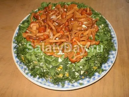 Saláta tisztás - a titkait főzés recept fotókkal és videó