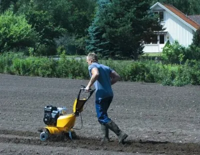 Kultivátor kihallgatás, hogyan kell kiválasztani a legjobb (legjobb) Kultivátor kihallgatás, hogyan kell kiválasztani a legjobb