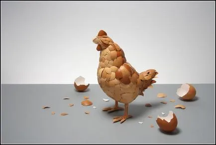 Csirke a tojáshéj