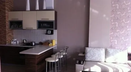 Konyha Stúdió rendezési elvek és típusú elrendezések (40 fotó)