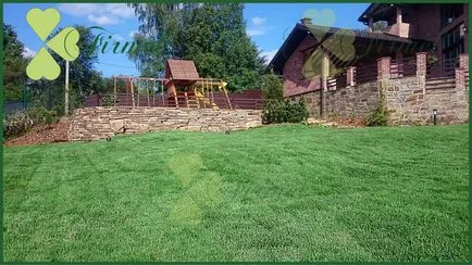 Parkosítás Moszkva - a cég firmel (Moszkva) Parkosítás Moszkva - a cég firmel