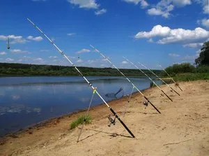 Catching kárász a Donk besorolás etetők független gyártás és korlátok (adagolók) Fogása ponty a donk besorolás etetők, független gyártás és korlátozások