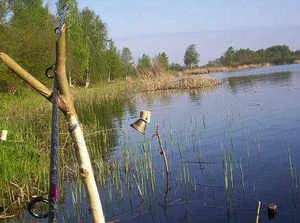 Catching kárász a Donk besorolás etetők független gyártás és korlátok (Donk) Fogása ponty a donk besorolás etetők, független gyártás és korlátozások