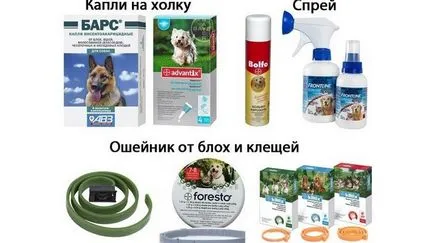 A legjobb orvosság kullancsok kutyák, hogy a hatékonyság (ügynök) A legjobb orvosság kullancsok kutyák, amelyek hatékonyan