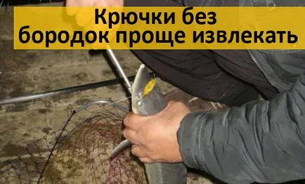 Ragályos tokhal a feeder, a csali (a nyár, tavasz, ősz) (rugó) Ragályos tokhal a feeder, a csali (a nyár, tavasz, ősz)
