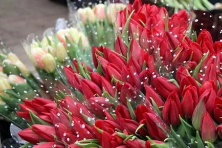 A hagymákat a tulipánok a vágott és tárolt otthon, utasítások, videók és képek (cut) A hagymákat a tulipánok a vágott és tárolt otthon, utasítások, videók és fotók