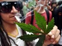 Cannabis - drog, éppen olyan veszélyes, mint mindenki másnak