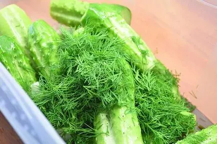 Sós uborka száraz nagykövet - modern otthon főzés recept fényképpel (Ambassador) Sós uborka száraz nagykövet - modern otthoni főzés recept egy fotó