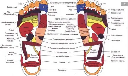 Talpmasszázs - hogyan kell csinálni