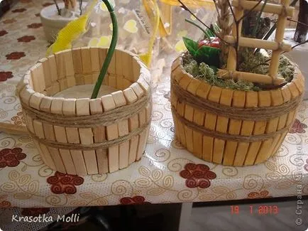 Saját gyümölcsfák, mint én őket), az ország mesterek (bonsai) Saját gyümölcsfák, mint én őket), az ország mesterek