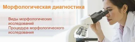 Morfológiai diagnózis daganatok
