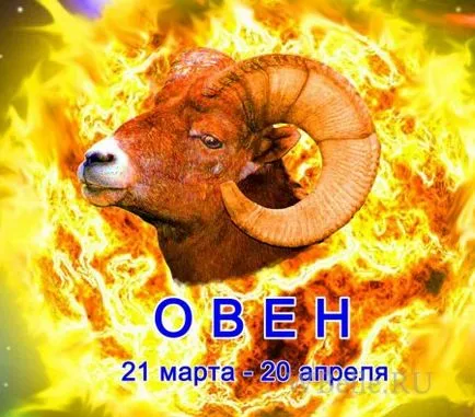Kos férfi - ő nyer örökre