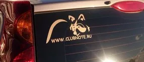 A matrica az autó, a park az autó, mint a szarvas vinil - matt, fényes, tükröződő,
