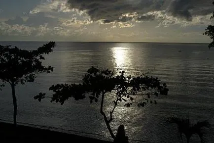 Bali saját