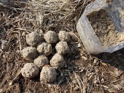 Mi Peck legjobb ponty csali és csalik az ősszel, télen, tavasszal és nyáron (csali) Mi Peck legjobb ponty csali és csalik az ősszel, télen, tavasszal és nyáron