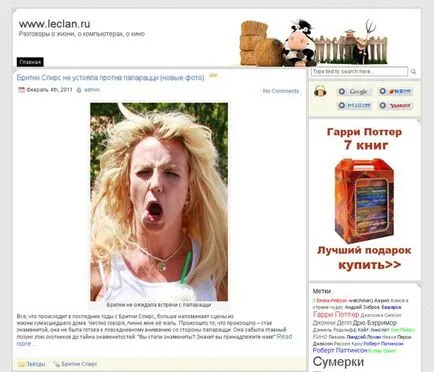 Hogy milyen témát hozzunk létre egy honlapot