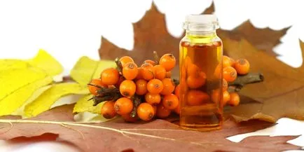 Buckthorn gyertyák nőgyógyászat gyógyítani a különböző betegségek