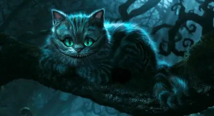 Áttekintés a macska fajták brit rövidszőrű leírás, Kittens (British) Áttekintés a macska fajták brit rövidszőrű leírás, Kittens