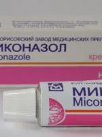 Színes skót Fold macska
