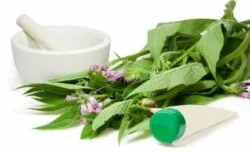 Comfrey készítmény, alkalmazás, receptek