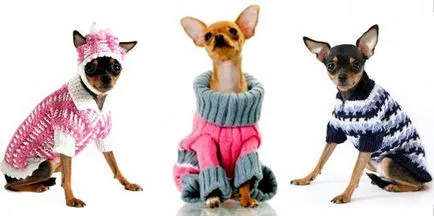 Ruha Toy terrier kezével minták, leírások, modellek, fotók