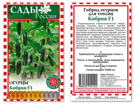Uborka Kibria leírás és értékelés a típusát, jellemzőit és fotó - eteplitsa (jellemző) Uborka Kibria leírás és értékelés a típusát, jellemzőit és fotó - eteplitsa
