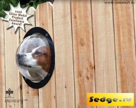 Eredeti dolgok (50 kép) - szép ingyen háttérkép, fotó fun
