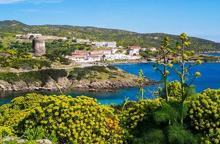 Mi határozza meg az élettartamot, frissebb - a legjobb a nap, amit valaha is szüksége van!