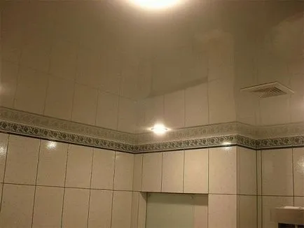 Díszítő fürdőszoba kialakítási lehetőségeit WC helyiség (fotók)