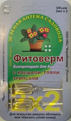 Takácsatkák on üvegházi uborka - hogyan harc (üvegház) Takácsatkák on üvegházi uborka - való megküzdés módjai