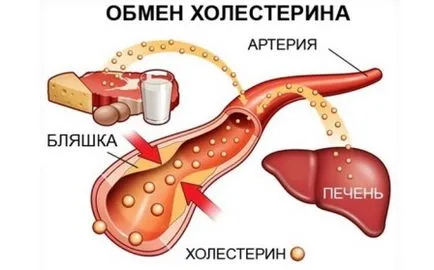 A termékek listáját tartalmazó szénhidrátok - táblázat fogyás