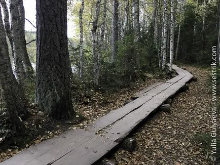 Park Repovesi Finnország gyik és a személyes tapasztalat