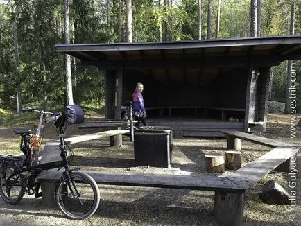 Park Repovesi Finnország gyik és a személyes tapasztalat