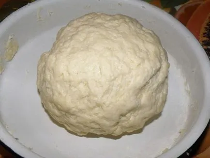 Cake csirkével, gombával recept fényképpel (sütemény recept csirke) Cake csirkével és gombával, egy recept egy fotó