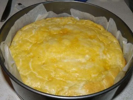 Cake csirkével, gombával recept fényképpel (főzés) Cake csirkével és gombával, egy recept egy fotó
