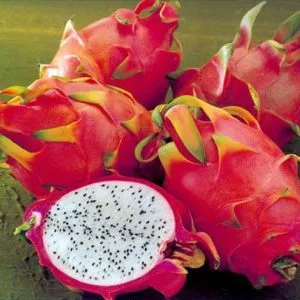Pitaya (Pitahaya) használata, kárt sárkány gyümölcs, kémiai összetétele és tápértéke