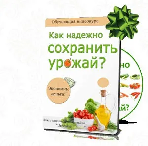 Miért csavart paradicsom levelei tanulni az okokat és intézkedéseket