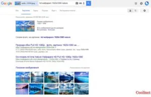 Keresés kép, képek, fotók Yandex és a Google (Google keresés kép) Keresés kép, képek, fotók Yandex és a Google