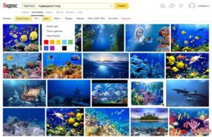 Keresés kép, képek, fotók Yandex és a Google (kereső képet Yandex) Keresés kép, képek, fotók Yandex és a Google