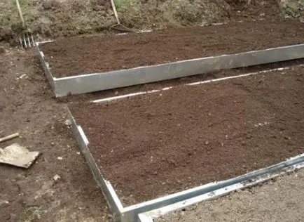 Ültetés fokhagymát tavasszal - a titok a jó termés