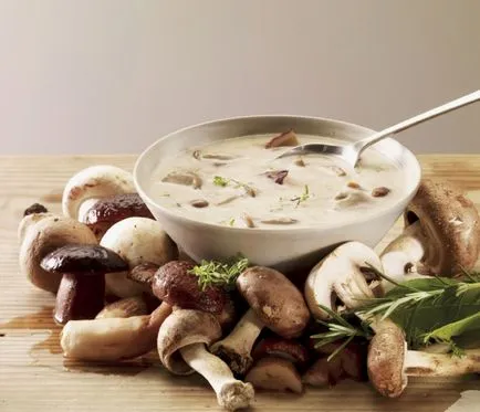 A gombák felhasználásával, hasznos és gyógyító tulajdonságait gomba - a TOP10 leghasznosabb gombák