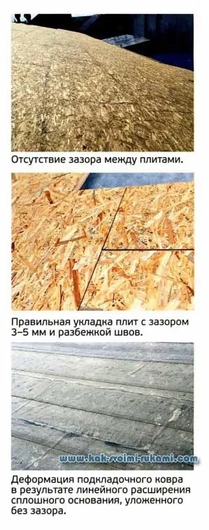 Megfelelő telepítés övsömör - szakmai tanácsadás, a kezében -, hogyan lehet a legtöbbet (tető) Megfelelő telepítés övsömör - szakmai tanácsadás, a kezében -, hogyan lehet a legjobban
